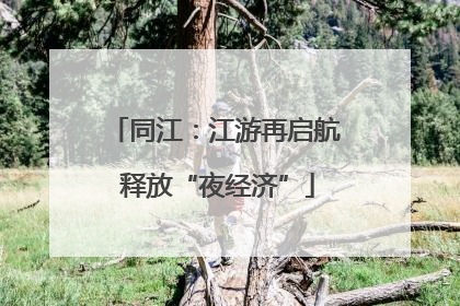 同江：江游再启航 释放“夜经济”
