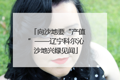 向沙地要“产值”——辽宁科尔沁沙地兴绿见闻