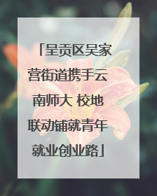 呈贡区吴家营街道携手云南师大 校地联动铺就青年就业创业路