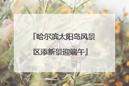 哈尔滨太阳岛风景区添新景迎端午