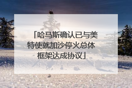哈马斯确认已与美特使就加沙停火总体框架达成协议