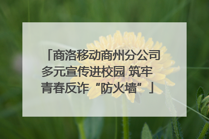 商洛移动商州分公司多元宣传进校园 筑牢青春反诈“防火墙”