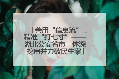 善用“信息流”，精准“打七寸”——湖北公安省市一体深挖串并力破民生案