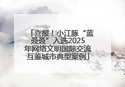 喜报！小江豚“蓝叒叒”入选2025年网络文明国际交流互鉴城市典型案例