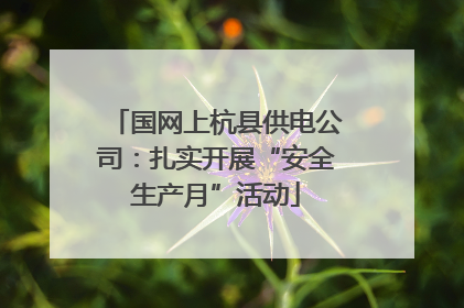 国网上杭县供电公司：扎实开展“安全生产月”活动
