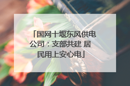 国网十堰东风供电公司：支部共建 居民用上安心电