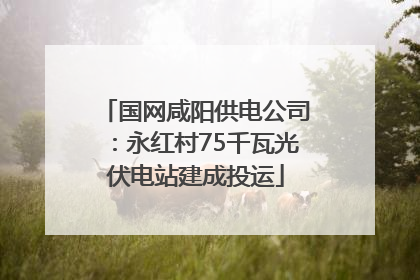 国网咸阳供电公司：永红村75千瓦光伏电站建成投运