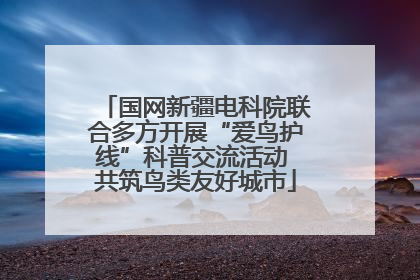 国网新疆电科院联合多方开展“爱鸟护线”科普交流活动 共筑鸟类友好城市
