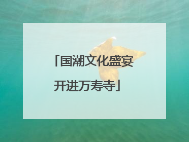国潮文化盛宴开进万寿寺