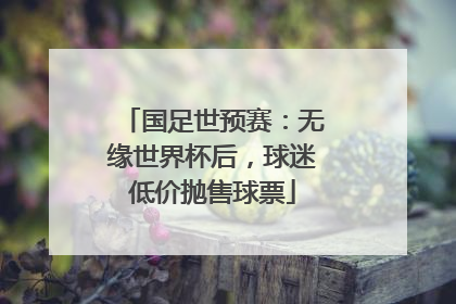 国足世预赛：无缘世界杯后，球迷低价抛售球票