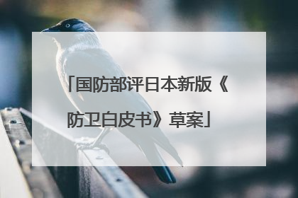 国防部评日本新版《防卫白皮书》草案