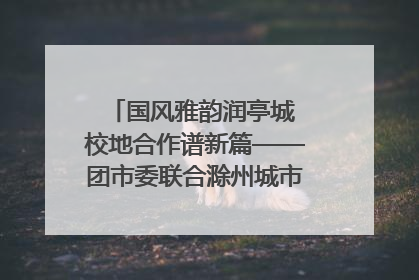 国风雅韵润亭城 校地合作谱新篇——团市委联合滁州城市职业学院助力传统文化“破圈”绽放