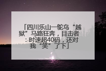 四川乐山一鸵鸟“越狱”马路狂奔，目击者：时速超40码，还对我“笑”了下