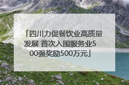 四川力促餐饮业高质量发展 首次入围服务业500强奖励500万元