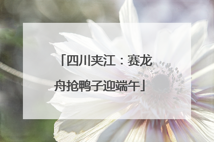 四川夹江：赛龙舟抢鸭子迎端午