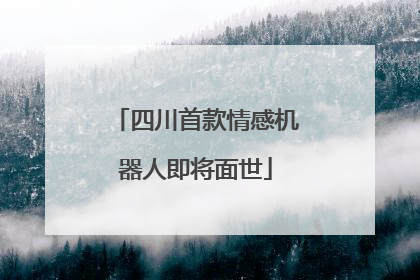 四川首款情感机器人即将面世