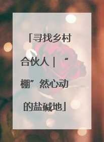 寻找乡村合伙人｜“棚”然心动的盐碱地
