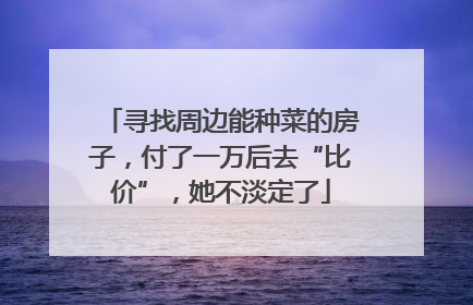 寻找周边能种菜的房子，付了一万后去“比价”，她不淡定了