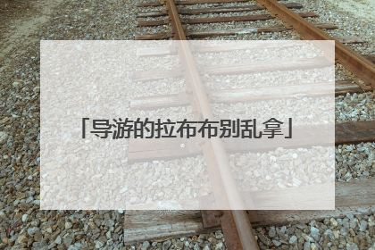 导游的拉布布别乱拿