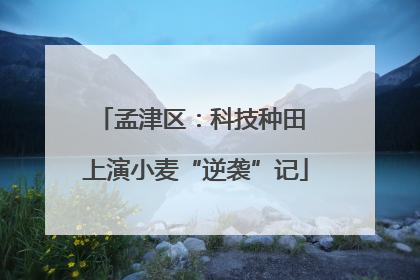 孟津区：科技种田 上演小麦“逆袭”记