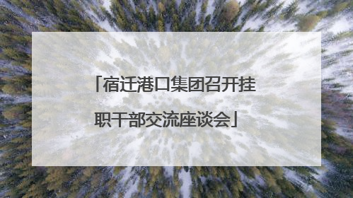 宿迁港口集团召开挂职干部交流座谈会