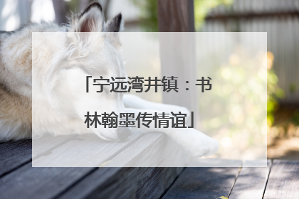 宁远湾井镇：书林翰墨传情谊