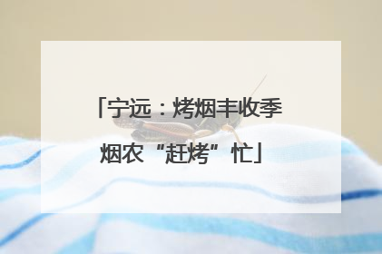 宁远：烤烟丰收季 烟农“赶烤”忙