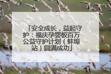 安全成长，益起守护：福庆孕婴板百万公益守护计划（蚌埠站）圆满成功