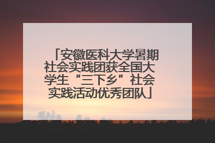 安徽医科大学暑期社会实践团获全国大学生“三下乡”社会实践活动优秀团队