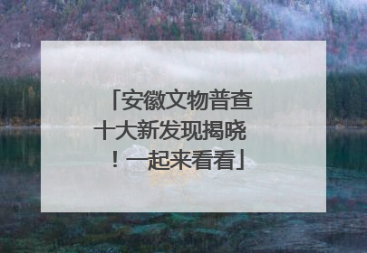 安徽文物普查十大新发现揭晓！一起来看看
