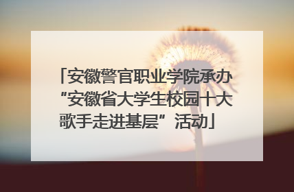 安徽警官职业学院承办“安徽省大学生校园十大歌手走进基层”活动