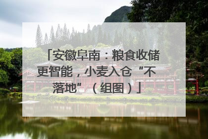 安徽阜南：粮食收储更智能，小麦入仓“不落地”（组图）