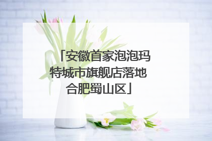 安徽首家泡泡玛特城市旗舰店落地合肥蜀山区