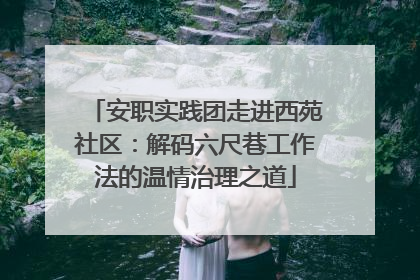 安职实践团走进西苑社区：解码六尺巷工作法的温情治理之道