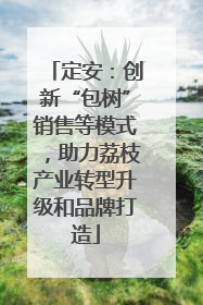 定安：创新“包树”销售等模式，助力荔枝产业转型升级和品牌打造