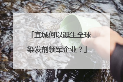 宜城何以诞生全球染发剂领军企业？
