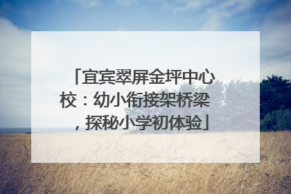 宜宾翠屏金坪中心校：幼小衔接架桥梁，探秘小学初体验