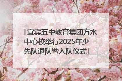 宜宾五中教育集团方水中心校举行2025年少先队退队暨入队仪式