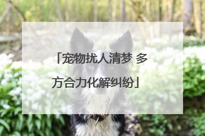 宠物扰人清梦 多方合力化解纠纷