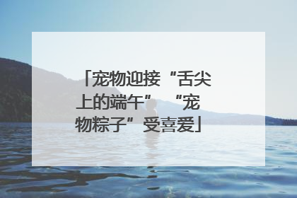 宠物迎接“舌尖上的端午” “宠物粽子”受喜爱