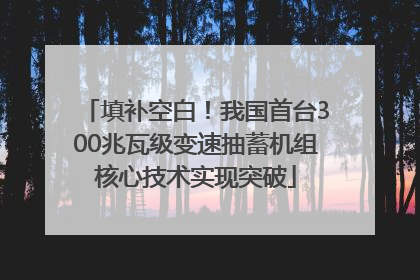 填补空白！我国首台300兆瓦级变速抽蓄机组核心技术实现突破