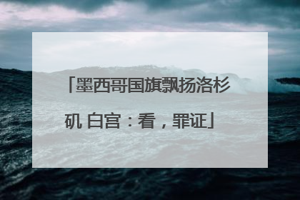 墨西哥国旗飘扬洛杉矶 白宫：看，罪证