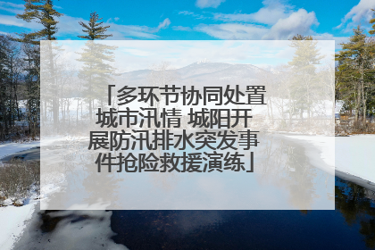 多环节协同处置城市汛情 城阳开展防汛排水突发事件抢险救援演练