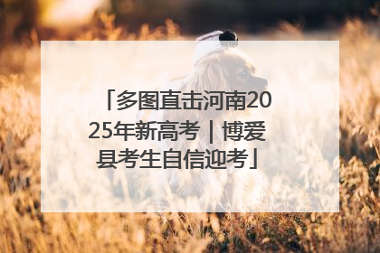 多图直击河南2025年新高考｜博爱县考生自信迎考