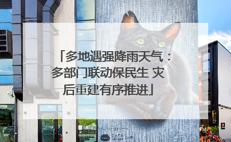 多地遇强降雨天气：多部门联动保民生 灾后重建有序推进