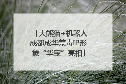 大熊猫+机器人 成都成华禁毒IP形象“华宝”亮相