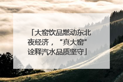 大窑饮品燃动东北夜经济，“真大窑”诠释汽水品质坚守