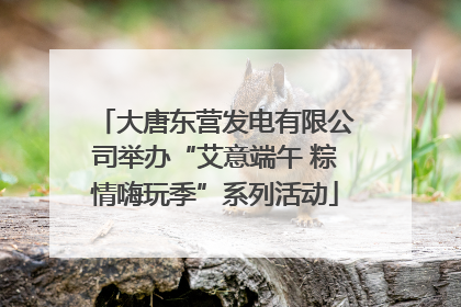 大唐东营发电有限公司举办“艾意端午 粽情嗨玩季”系列活动