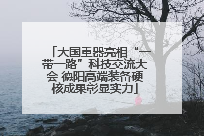大国重器亮相“一带一路”科技交流大会 德阳高端装备硬核成果彰显实力