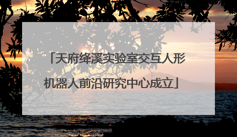天府绛溪实验室交互人形机器人前沿研究中心成立